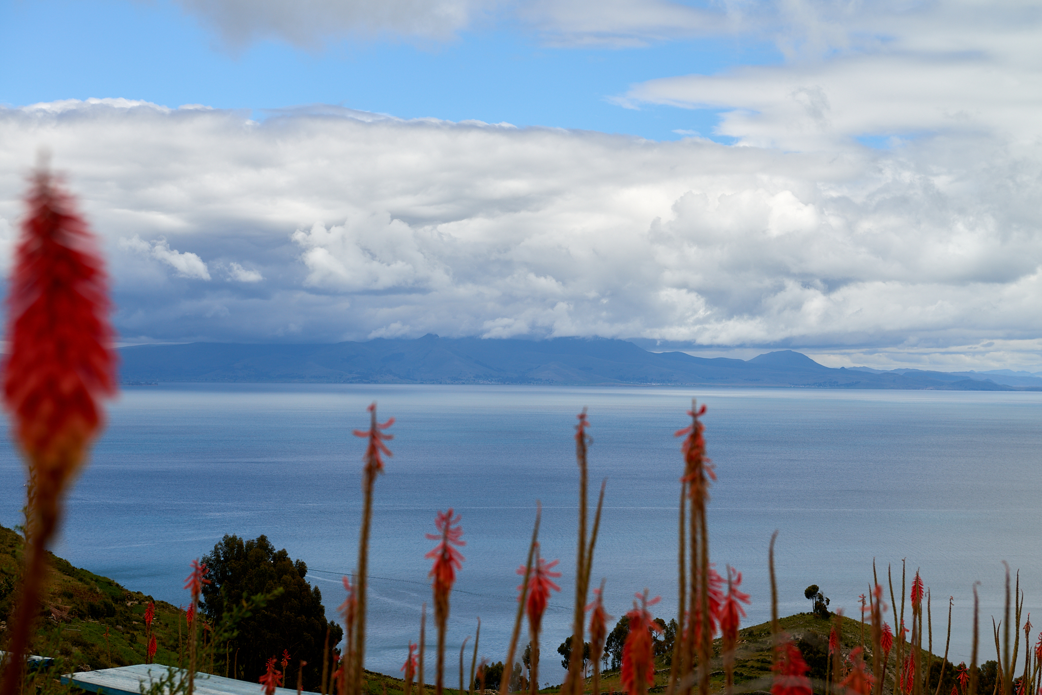 20200310 002 [볼리비아] 티티카카호수